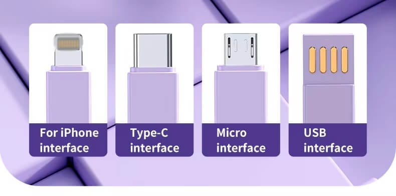 Multiple Charging interface
